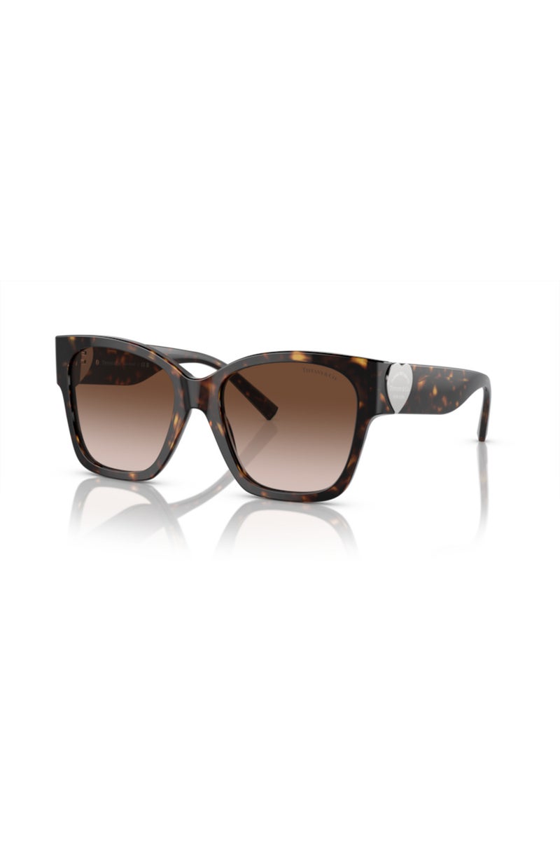 Tiffany Square Sunglasses for Women - Havana - Image 1